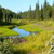 Pixelated landscape with green fields, blue water, and dark trees under a light blue sky.