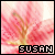 Pixelated pink and red floral background with a central brownish stem and yellow base, overlaid with black-and-white pixelated text reading 'SUSAN' at the bottom.