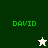 Green text 'DAVID' appears on four distinct background colors with two different star-shaped icons below the text.