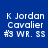 Blue background with white pixelated text reading "K Jordan Cavalier #3 WR. SS" arranged in four identical quadrants.