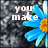 A pixelated image of a blue flower with a yellow center on a gray background, displaying text that changes from 'you make' to 'me smile'.