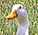 Pixelated duck head with white crown, yellow beak, and dark eye against green foliage background.