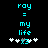 Pixelated cyan text 'roy = my life' with white stars and a blue X on black background, showing animation change in star positions.