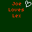Green background with orange text reading "Joe Loves Lex" and a white pixelated heart symbol between two identical text blocks.