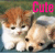 Animated contact sheet of six frames showing two kittens and a puppy with changing text colors, arranged in 3x2 grid on gray background.