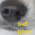 A pixelated close-up of a gray animal's face with dark eyes and nose, showing two text variations below the image.
