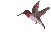 Pixelated hummingbird in flight with red throat, brown wings, and white underbelly against light gray background.