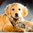 A golden retriever dog lies on a gray surface with a bright blue background displaying text.