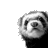 Black-and-white pixelated image of a ferret's head facing left with dark eyes and nose on light background.