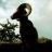 Pixelated static image of a dark silhouette with light circular accents against a muted background, appearing to be an abstract or stylized animal figure.