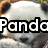 Animated sequence showing a panda's face with text overlays changing from 'PandaProject' to 'page' against a grassy background.