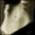 Animated contact sheet of a stick figure icon with changing text overlays across frames, showing motion blur and grayscale tones.