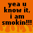 Pixelated orange background with black text reading 'yea u know it, i am smokin!!!' and flame-like shapes at the bottom.