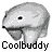 A 4x4 contact sheet of grayscale animated frames showing a cartoon bear mascot with varying facial expressions and poses, each labeled "Coolbuddy" below the icon.