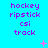Pixelated text 'hockey ripstick csi track' in purple on cyan background with pink star and dot animations.