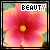 iconhell_suqababii_beauty2
