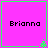 Four identical pink squares with green borders, each containing the name 'Brianna' in black pixelated text and a small green pixelated symbol at the bottom right corner.