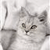 A pixelated grayscale image of a cat's face with closed eyes, positioned slightly right of center against a light background.