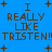 Blue background with brown pixelated text reading 'I REALLY LIKE TRISTEN!!' and plus signs scattered throughout.