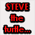 Pixelated green turtle with smiling face on red background, accompanied by text reading "STEVE the turtle... he's awsome" in bold colors.