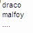 A static image shows a white ferret-like animal with dark eyes and nose on a brown background, accompanied by text elements including "draco malfoy," "the amazing bouncing," and "ferret" with two heart symbols.