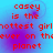 Red pixelated text on a blue-purple gradient background reads 'casey is the nottest girlhottest girl ever on the planet' with visible pixelation and color bleeding.
