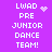 Purple background with white pixelated text 'LWAD PRE JUNIOR DANCE TEAM!' and animated heart/particle effects.