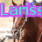 Brown horse with white stripe on face, rider in blue and white attire, purple text overlay reading 'Lariss' partially visible.