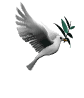 White dove with green olive branch in beak, wings spread in flight against gray background; multiple poses show wing positions and body angles.