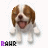 Pixelated 48x48 static icon of a brown and white dog with its mouth open, tongue out, standing on a transparent background with faint blue pixel artifacts around the edges.