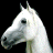 Pixelated white horse head on black background with green text 'Original Icons .com' on right side.