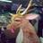 Pixelated static icon of a cartoon reindeer with antlers, pink nose, and yellow body against dark background.