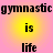 A static image with a pink and yellow gradient background displaying the text "gymnastic is life" repeated in four identical quadrants.