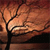 A pixelated static image shows a dark tree silhouette against a warm-toned background of orange and brown hues with a light source behind the branches.