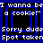 Pixelated blue and black with white text repeating "I wanna be a cookie!" and "Sorry dude Spot taken" across four quadrants