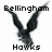 Pixelated black bird with outstretched wings above 'Bellingham' text and below 'Hawks' text on white background.