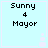 Four identical light blue square with pink borders display black pixelated text reading "Sunny 4 Mayor" and small white circular shapes on the right side
