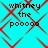Cyan background with red diamond-shaped lines and black text reading "whitney the pooooo" in four repeated sections