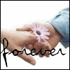 A hand holding a pink flower with 'forever' text below, transitioning from 'TAKE HER HAND' to 'TAKE HER HAND, TELL HER THAT' to 'TAKE HER HAND, TELL HER THAT ITS LOVE' text above.