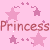 Pixelated pink background with repeated star shapes and the text "PrincessPrincess" in brown pixelated font, featuring small plus signs as accents.