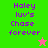 Green and pink pixelated display 'Haley luv's Chase forever' text with star icons, one static and one animated green star