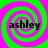 Four identical spiral patterns in green and pink with the word 'ashley' centered on each, arranged in a
