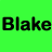 A 3x2 contact sheet of six colored panels each displaying the name "Blake" in different colors and fonts, with no visible animation or additional subjects.
