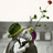 A pixelated figure in a green hat and white shirt holds a purple eggplant, with a floating rose above.