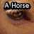 A six- of pixelated images with overlaid text, each showing a distinct visual element including an eye, blue object, nose, horse, legs, and heart symbol
