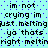 Pixelated text repeats across a cyan background with blue dots, displaying phrases like "im not crying im just melting ya thats right meltn" in black block letters.