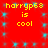 Red background with yellow text 'harryp6s is cool' repeated in four quadrants and scattered cyan squares.