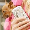 A small brown dog with upright ears is held by a person wearing a pink garment, while the person holds a white phone with a patterned case.