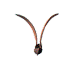 Brown seed-like shapes with rounded tips and dark brown bases transition from two-winged forms to single-winged forms