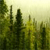 Pixelated green and yellow abstract scene with vertical shapes resembling trees against a light gradient background.